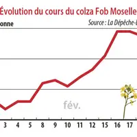Evolution du cours du colza Fob Moselle