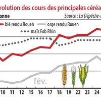 Evolution des cours des principales céréales
