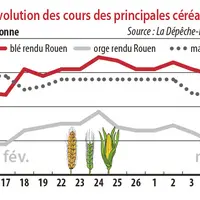 Evolution des cours des principales céréales