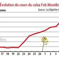Evolution du cours du colza Fob Moselle