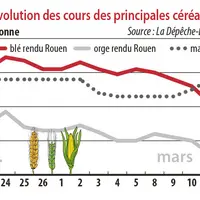 Evolution des cours des principales céréales