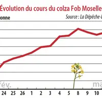 Evolution des cours du colza