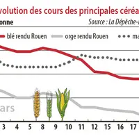 Evolution des cours des principales céréales