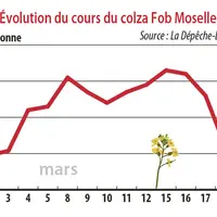 Evolution du cours du colza Fob Moselle