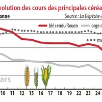 Evolution des cours des principales céréales