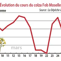 Évolution du cours du colza Fob Moselle