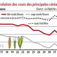Evolution des cours des principales céréales