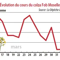 Evolution des cours du colza