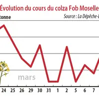 Evolution des cours du colza