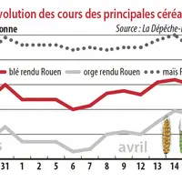 Evolution des cours des principales céréales
