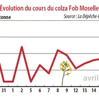 Evolution des cours du colza