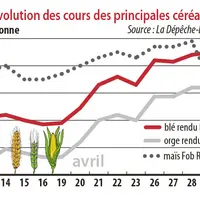 Evolution des cours des principales céréales