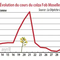 Evolution des cours du colza