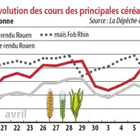 Evolution des cours des principales céréales
