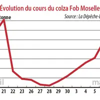 Evolution des cours du colza