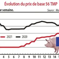 Evolution du prix de base 56 TMP