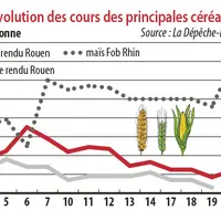 Evolution des cours des principales céréales