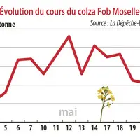 Evolution des cours du colza