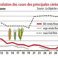 Evolution des cours des principales céréales