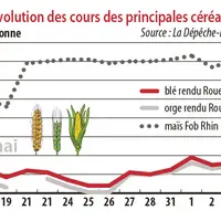 Evolution des cours des principales céréales