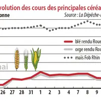 Evolution des cours des principales céréales