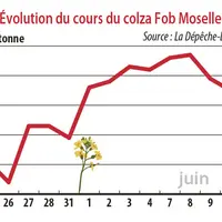 Evolution des cours du colza