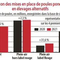 Evolution des mises en place de poules pondeuses en élevages alternatifs