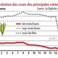 Evolution des cours des principales céréales