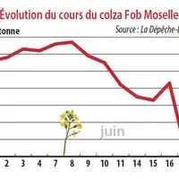 Evolution des cours du colza