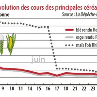 Evolution des cours des principales céréales