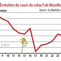 Evolution des cours du colza