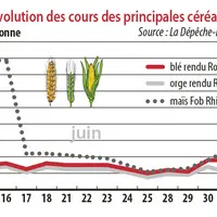 Evolution des cours des principales céréales