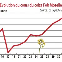 Evolution des cours du colza