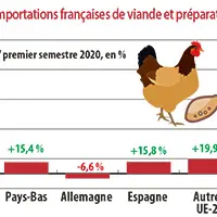 Évolution des importations françaises de viande et préparation de volaille