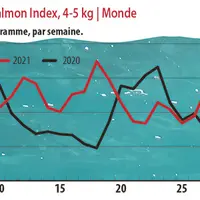 Évolution du Nasdaq Salmon Index, 4-5 kg | Monde