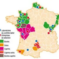 Avec le soutien financier de : ANR, Apis-Gène (Cniel, Unceia dans le cadre d’Agenae), Casdar, FranceAgriMer, France Génétique Elevage, ministère de l’