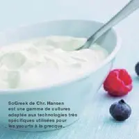 Yaourt à la Grecque