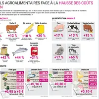 Infographie sur la hausse des coûts de production dans l'agroalimentaire