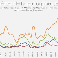 Le filet origine UE a connu un record de prix historique pour les fêtes de fin d'année 2021