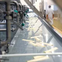 La Rabobank estime la croissance du marché du fromage entre 2011 et 2015 à +0,6 % par an. Ceci ermet de tabler sur une augmentation des capacités de f