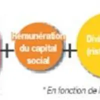 Rémunération de l’associé-coopérateur
