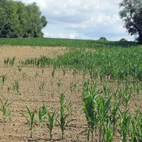 Sécheresse : la FNSEA demande davantage de mesures