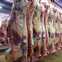Les abattages de vaches reculent depuis 2016.