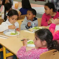 Pour le menu végétarien dans les cantines, il est recommandé d’associer légumineuses et céréales complètes.