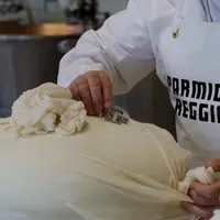La puce p-Chip, appliquée sur la plaque de caséine, est un minuscule micro-transpondeur de la taille d’un grain de sel fabriqué en silicium.