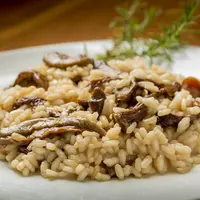 Le marché du riz à risotto devrait se tendre à cause du manque d'eau dans la vallée du Pô en Italie.