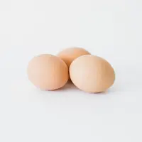 Le marché de l’œuf bio s’assainit