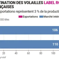 Volaille label Rouge : des opportunités à l’export en Europe du Nord