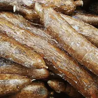 Tipiak élabore une gamme d'ingrédients 100% manioc, se prêtant au clean label.
