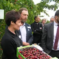 En fruits et légumes, le développement de la HVE s'est accompagné d'une communication continue.   © Pierre-Louis Berger
